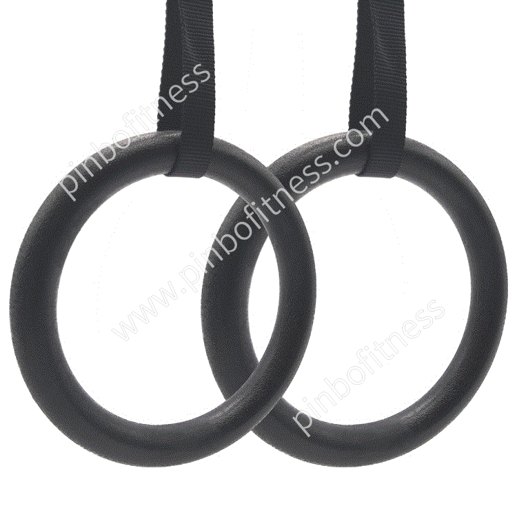 FA-C001 ABS Gym Rings