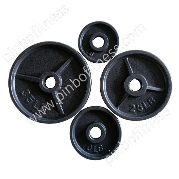 FW-P036 Black Cast Iron Weight Plate