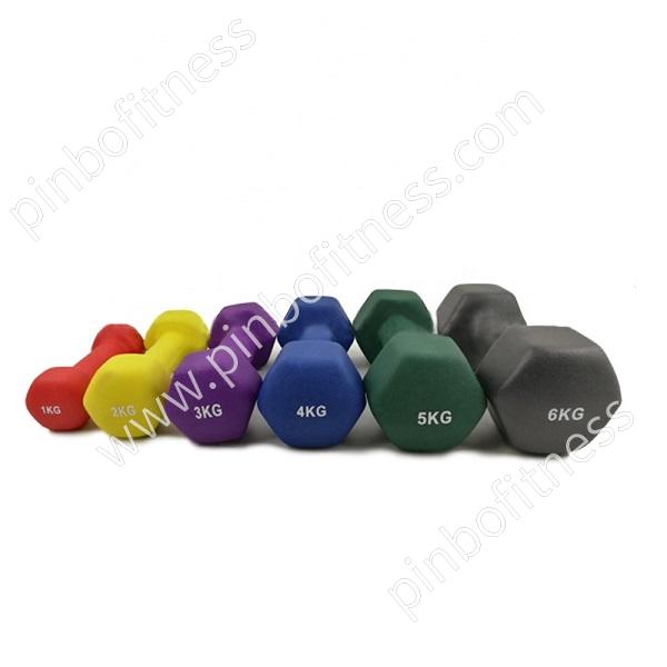 FW-D001M Neoprene (Matte) Dumbbell