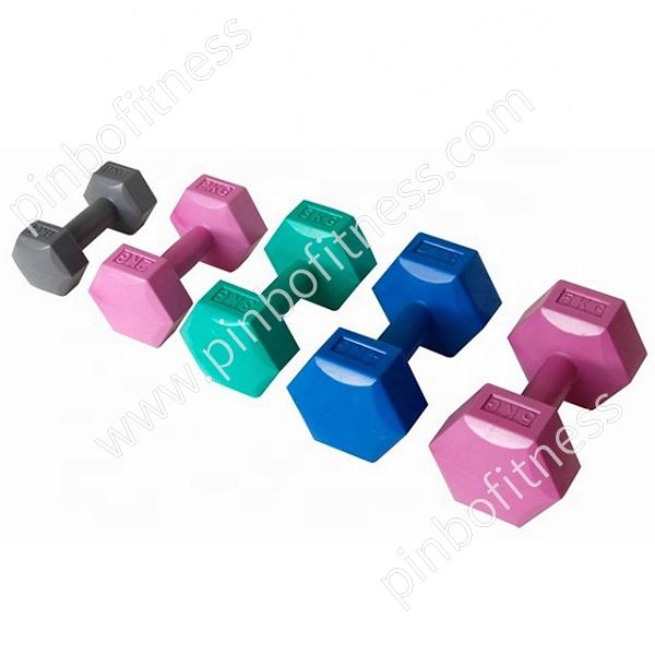 FW-D018 Cement-Filled Plastic Hex Dumbbell