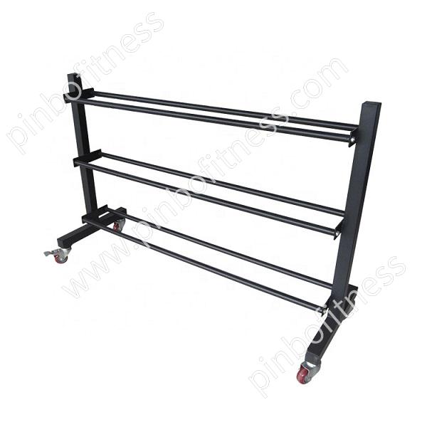 SR-Q003 Gym Ball Rack